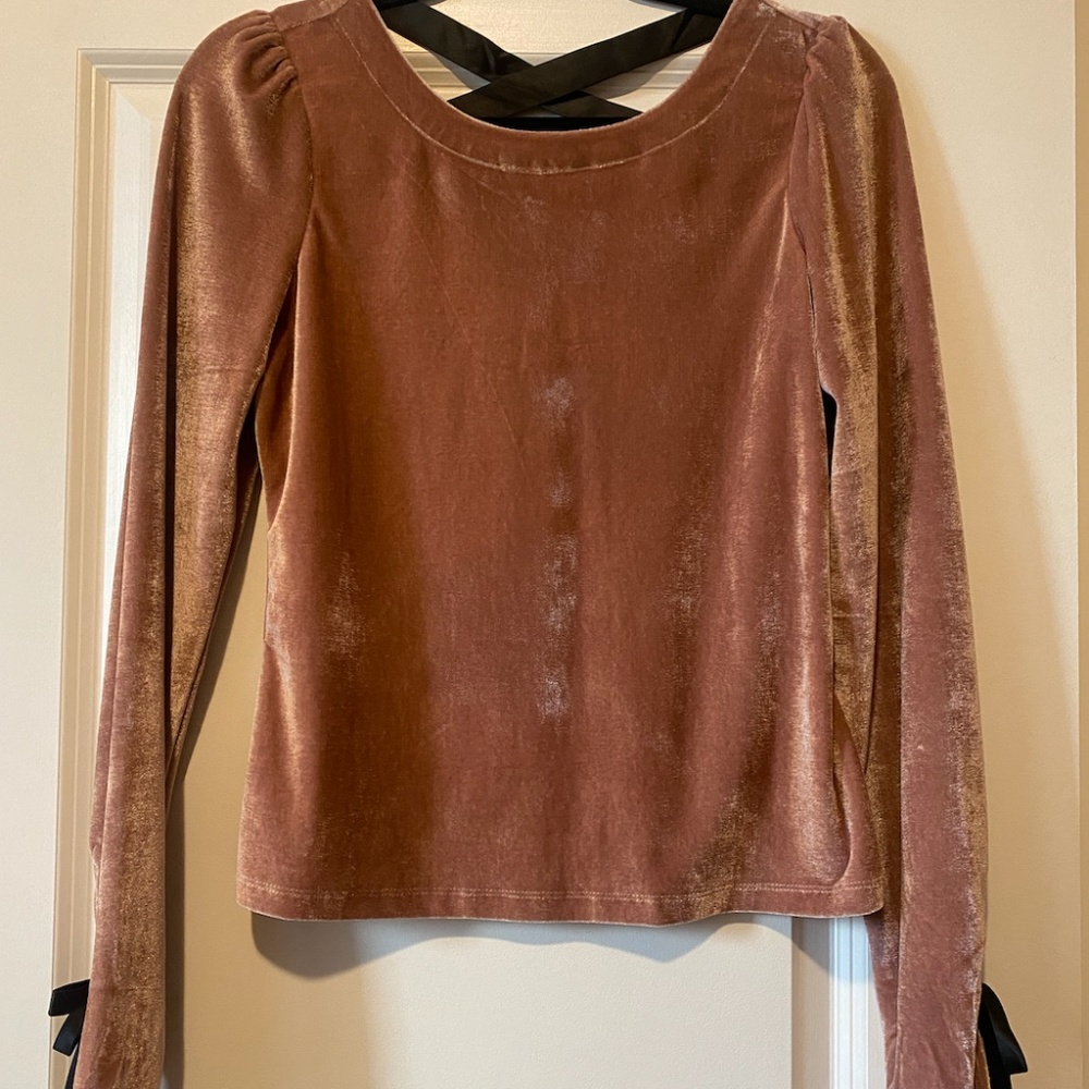 NWT rose velvet Anthropologie top